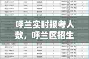 呼兰实时报考人数,呼兰区招生办地址电话