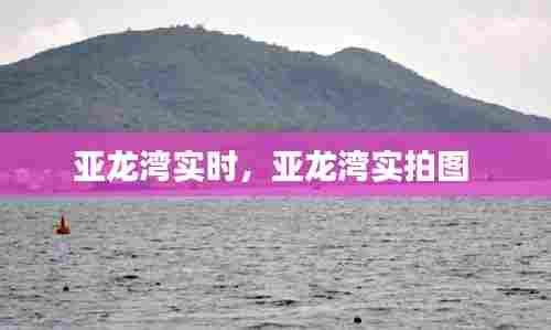 亚龙湾实时，亚龙湾实拍图 