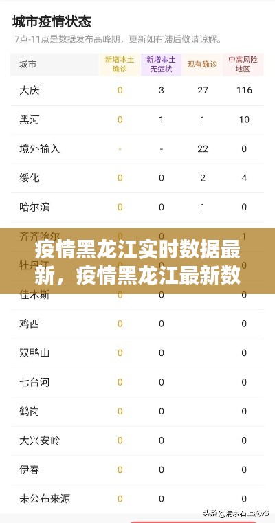 疫情黑龙江实时数据最新，疫情黑龙江最新数据消息 