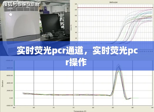 实时荧光pcr通道,实时荧光pcr操作