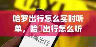 哈罗出行怎么实时听单，哈啰出行怎么听单 