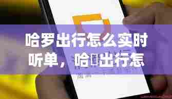 哈罗出行怎么实时听单,哈啰出行怎么听单