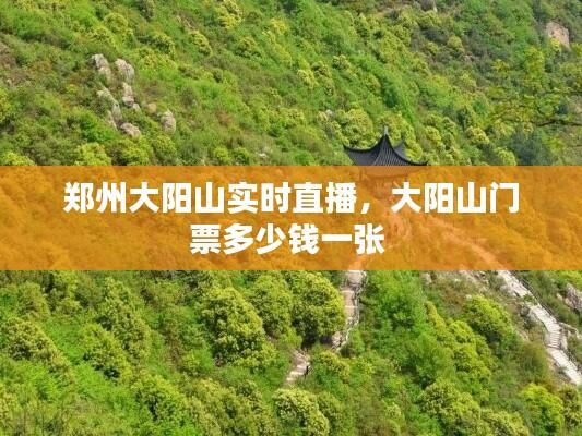郑州大阳山实时直播,大阳山门票多少钱一张