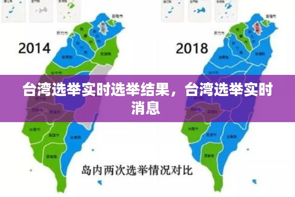 台湾选举实时选举结果,台湾选举实时消息