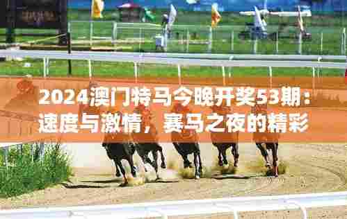 2024澳门特马今晚开奖53期：速度与激情，赛马之夜的精彩瞬间