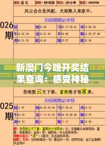 新澳门今晚开奖结果查询：感受神秘数字组合的魅力