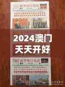 走马观花 第7页