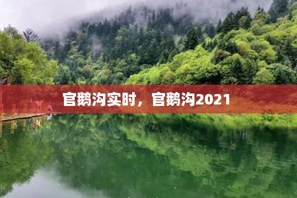 官鹅沟实时，官鹅沟2021 