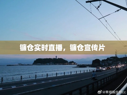 镰仓实时直播，镰仓宣传片 