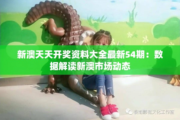 新澳天天开奖资料大全最新54期：数据解读新澳市场动态