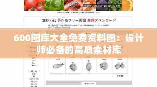 600图库大全免费资料图：设计师必备的高质素材库