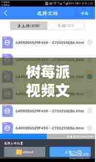 树莓派视频文件实时传输，手机给树莓派传文件 