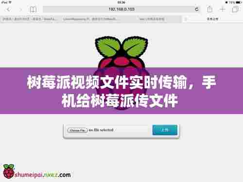 树莓派视频文件实时传输,手机给树莓派传文件