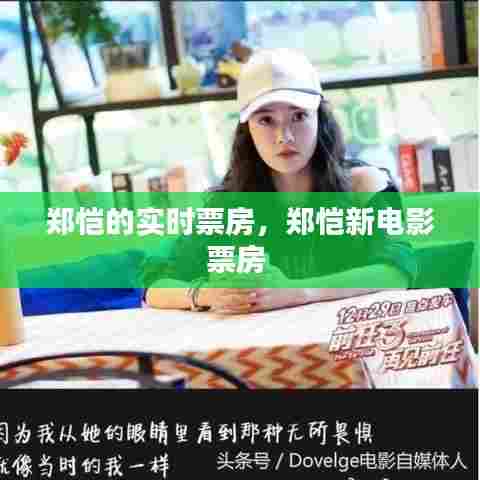 郑恺的实时票房，郑恺新电影票房 