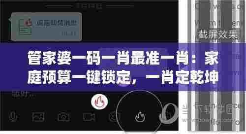 管家婆一码一肖最准一肖：家庭预算一键锁定，一肖定乾坤