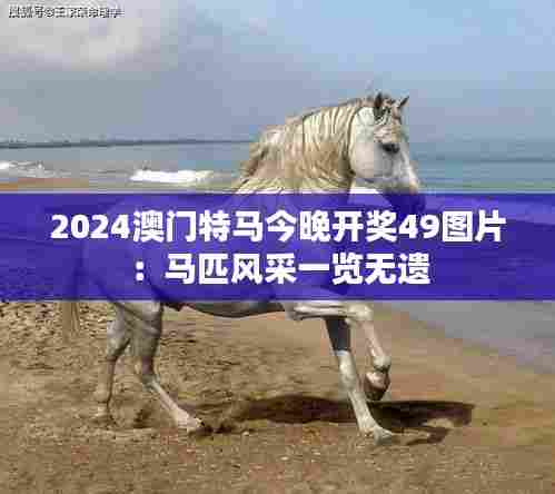 2024澳门特马今晚开奖49图片：马匹风采一览无遗
