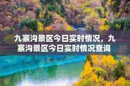 九寨沟景区今日实时情况，九寨沟景区今日实时情况查询 