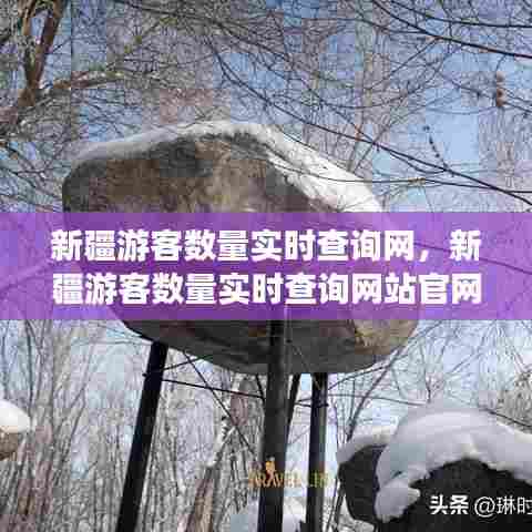 新疆游客数量实时查询网，新疆游客数量实时查询网站官网 
