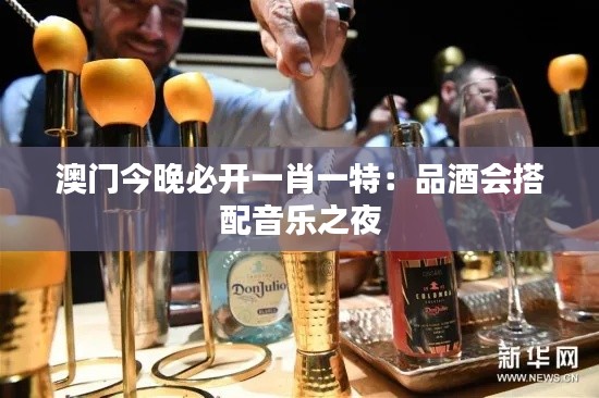 澳门今晚必开一肖一特：品酒会搭配音乐之夜
