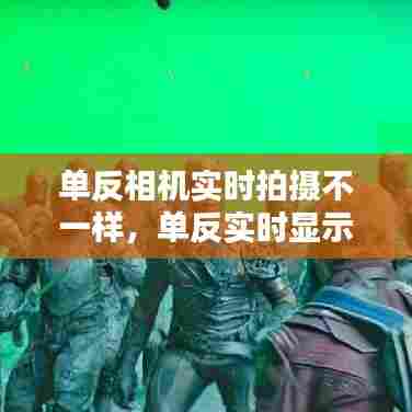 单反相机实时拍摄不一样，单反实时显示拍摄 