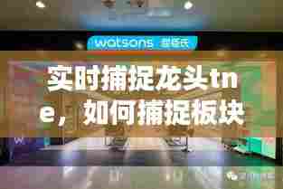 实时捕捉龙头tne，如何捕捉板块龙头 