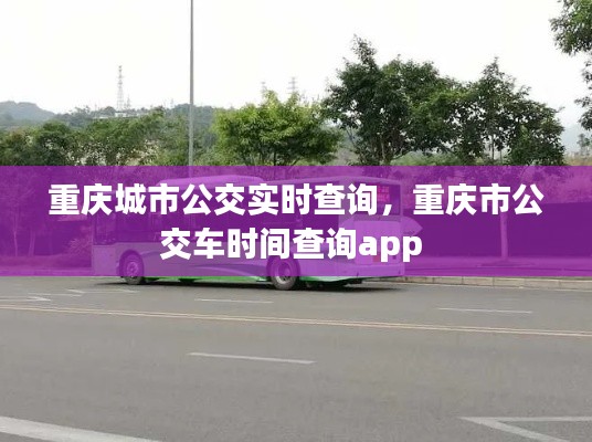 重庆城市公交实时查询，重庆市公交车时间查询app 