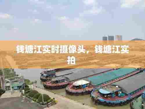 钱塘江实时摄像头，钱塘江实拍 