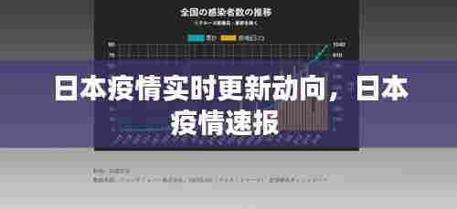 日本疫情实时更新动向,日本疫情速报
