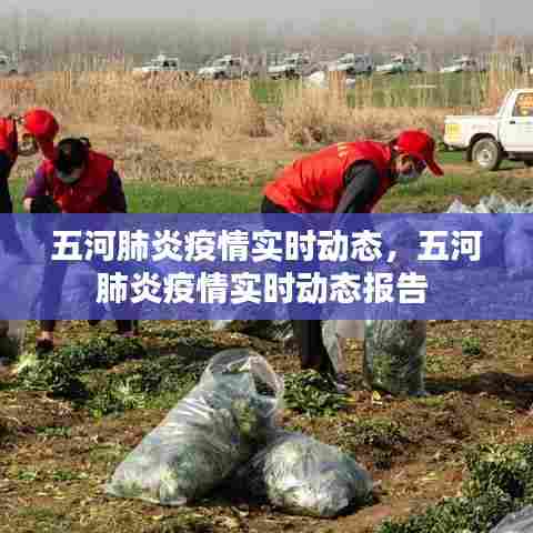 五河肺炎疫情实时动态，五河肺炎疫情实时动态报告 