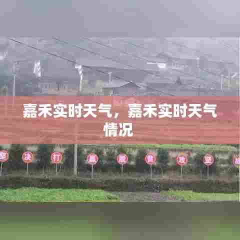 嘉禾实时天气，嘉禾实时天气情况 