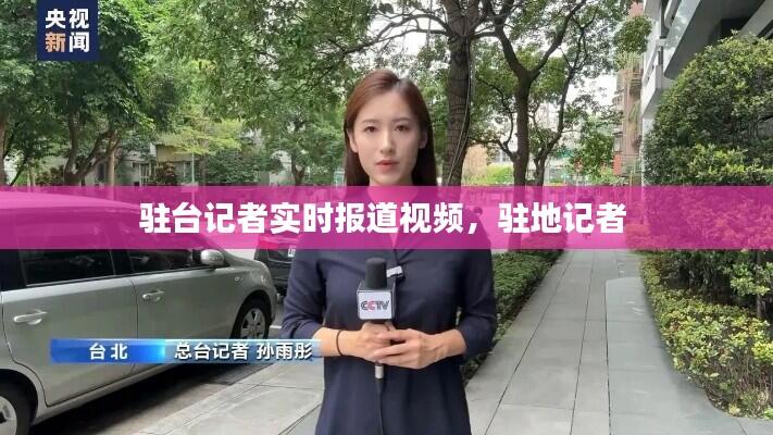 驻台记者实时报道视频,驻地记者