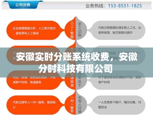 安徽实时分账系统收费，安徽分时科技有限公司 