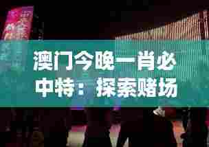 澳门今晚一肖必中特：探索赌场灯光秀幕后