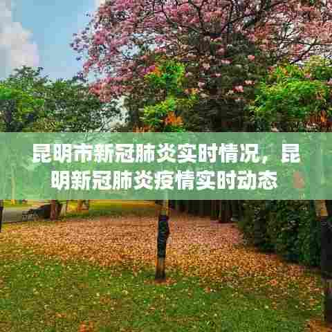 昆明市新冠肺炎实时情况，昆明新冠肺炎疫情实时动态 