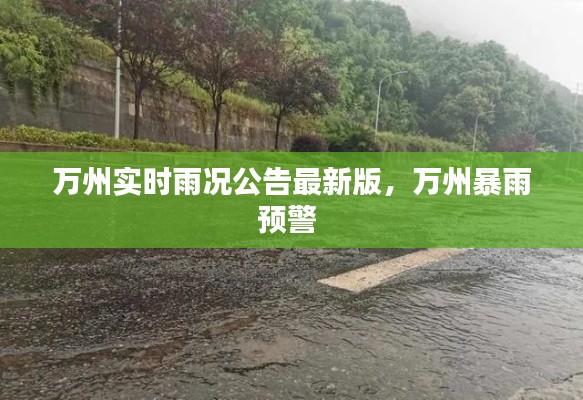 万州实时雨况公告最新版，万州暴雨预警 