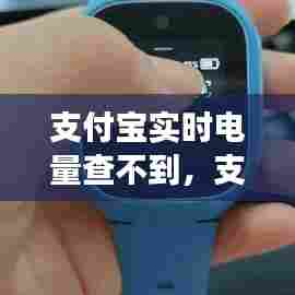 支付宝实时电量查不到，支付宝实时电量查不到怎么回事 