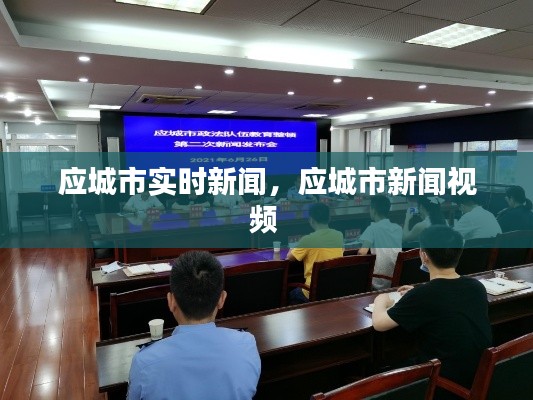 应城市实时新闻，应城市新闻视频 