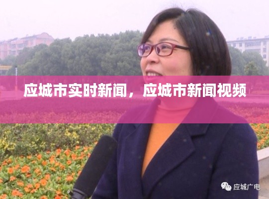 应城市实时新闻,应城市新闻视频