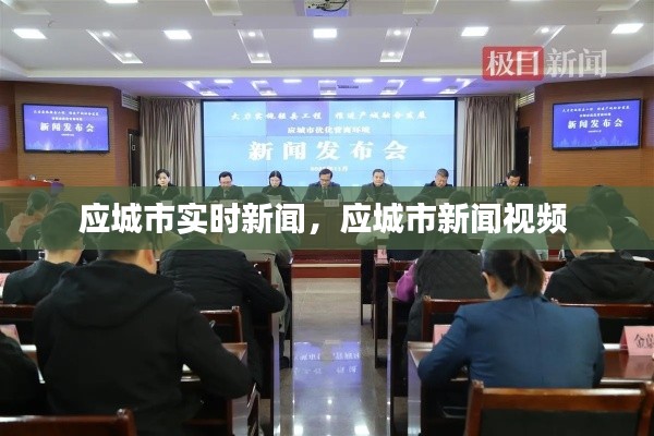 应城市实时新闻,应城市新闻视频