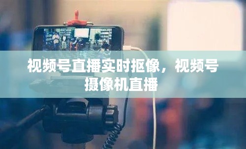 视频号直播实时抠像，视频号摄像机直播 