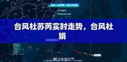 台风杜苏芮实时走势，台风杜娟 