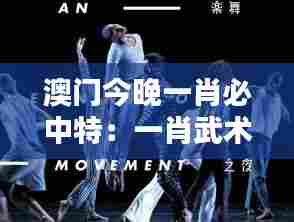 澳门今晚一肖必中特:一肖武术表演惊爆文化夜