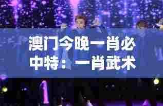 澳门今晚一肖必中特:一肖武术表演惊爆文化夜