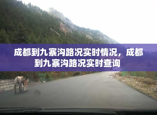 成都到九寨沟路况实时情况，成都到九寨沟路况实时查询 