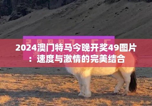 2024澳门特马今晚开奖49图片：速度与激情的完美结合