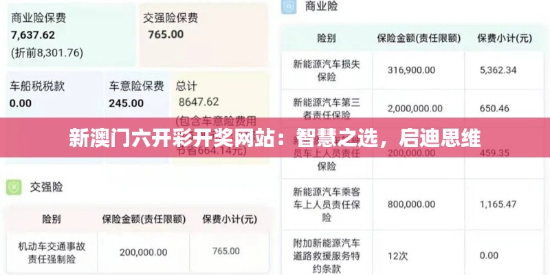 新澳门六开彩开奖网站：智慧之选，启迪思维