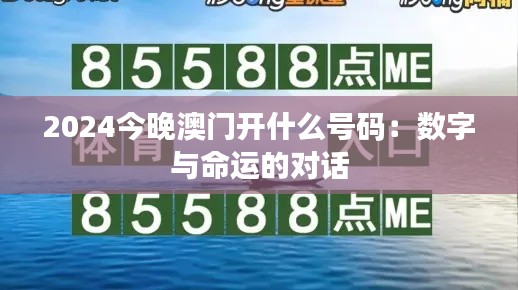 2024今晚澳门开什么号码：数字与命运的对话