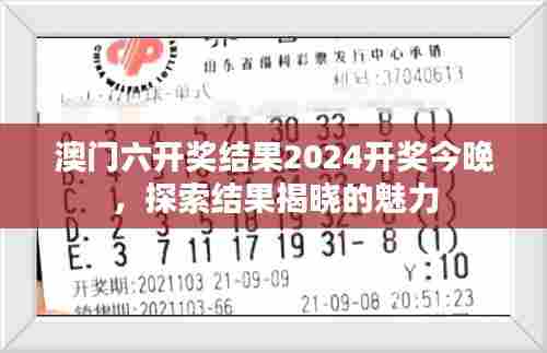 澳门六开奖结果2024开奖今晚,探索结果揭晓的魅力