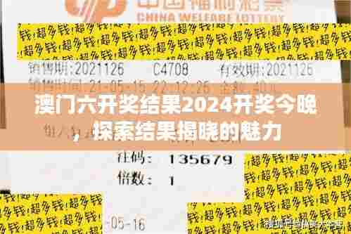 澳门六开奖结果2024开奖今晚,探索结果揭晓的魅力