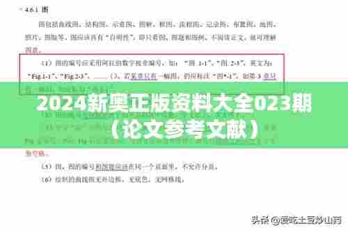 2024新奥正版资料大全023期（论文参考文献）